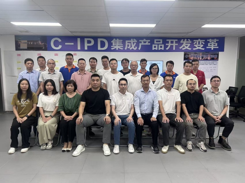 IPD咨询项目2.jpg